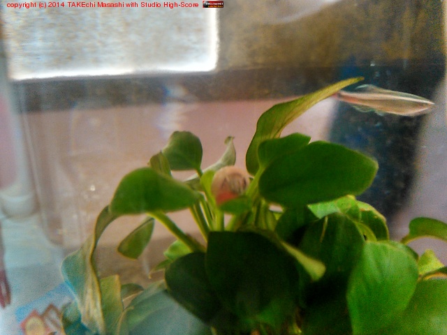 �ܥȥ륢�������ݽ�������������ִ����������ޤ��ˡ��ˤʤä��ȻפäƤ����������夬��äƤ��Ƥ����