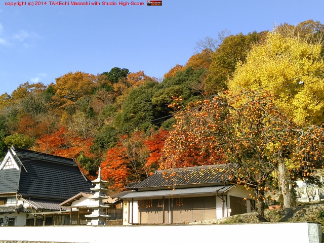 �����֡����ȶ�ɤȹ��ա�