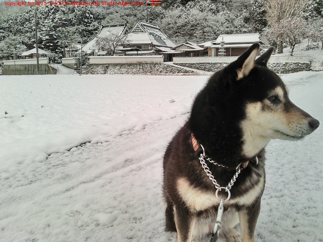 ����ˤ�����ʿ����������������Ȼ��⡣