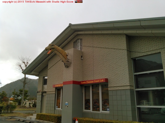 ��������δ�