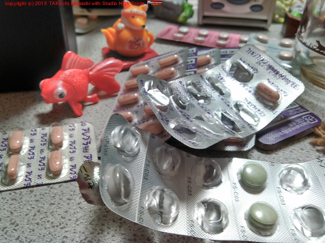 ���������ξ�ΰ�Ѥ�����󥭡��ʤΤǼ̿��򻣤äƤߤ�����ʴ�ɤΥ�����Ȥ��������� :)