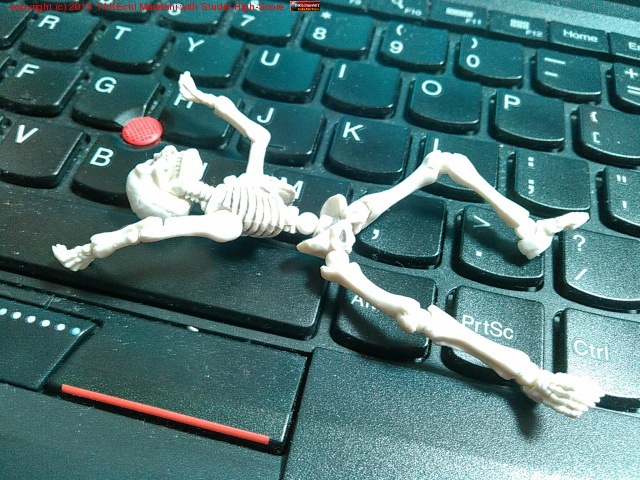 �⤦����! ���䥹�ߤ�����!