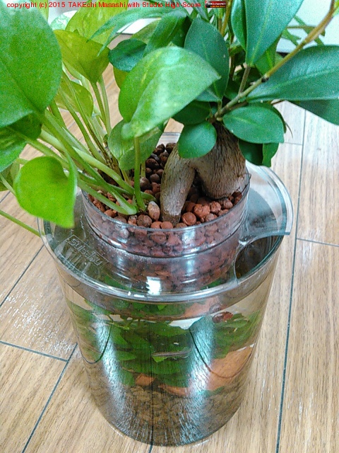 �ܥȥ륢���������δ��մ󤻿����򶯲���ǰ��(?)�Υ�����ޥ�!