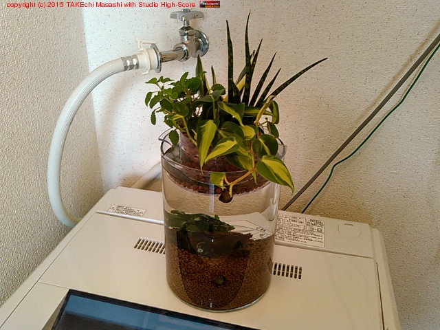 �������ξ��������Υܥȥ륢���������δ��մ󤻿�����λ! #�������뵤�ʤ�