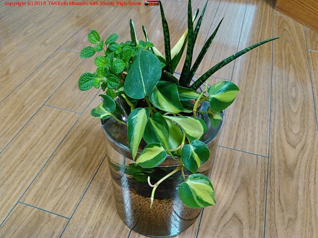 Ω���夲��Υܥȥ룲 �����˥������ʤΤǶ�������������Ϥ⤦������ˤ��롣�����ҥ졤��������٥������ӡġ���������褦����?