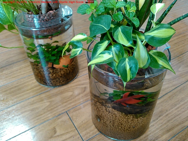 �������ܥȥ룲�٥��ܽ���λ! �ܥȥ룱�����ҥ���¤٤ƻ��ơ����տ�ʪ�ᥤ����ʡġ�