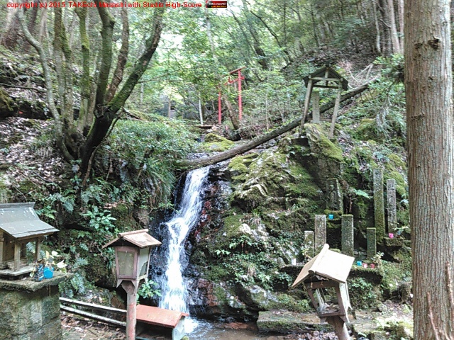 ̼�Ȱ�����Τ������