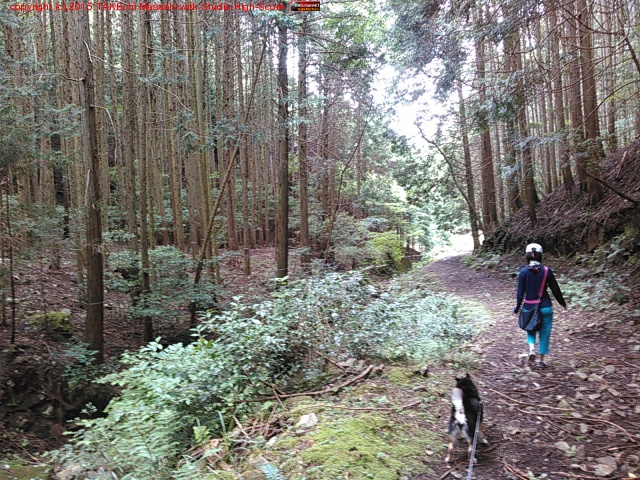 Τ������