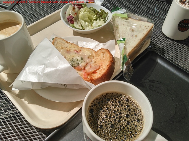 �ۤ���Ӥʤ��饿�꡼����ī��