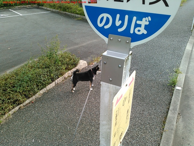 ����פ�פ�