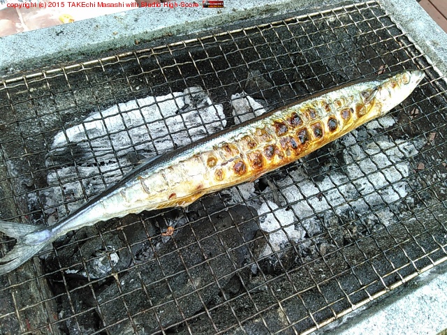 ú��Ĵ�Ҥ˥�餬���륱�ɾƤ��Ƥ���!