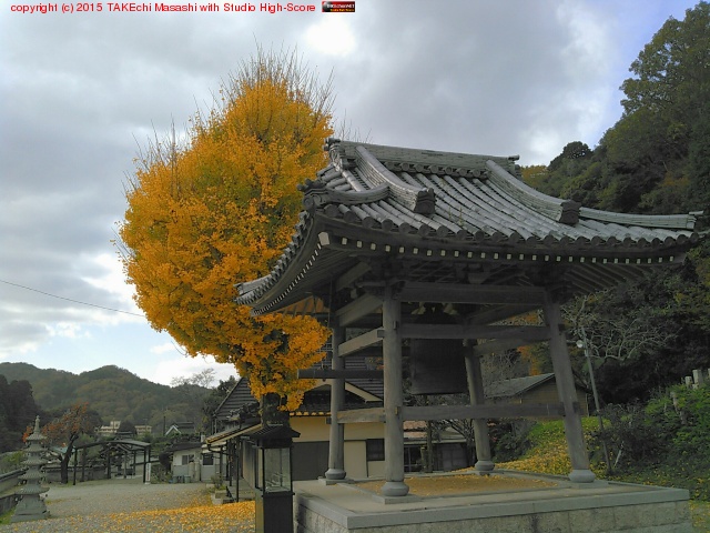 ���äƤ��ư��ִ��Ǥ����Τϸ����פ�פ�Ȼ��⤹�롣