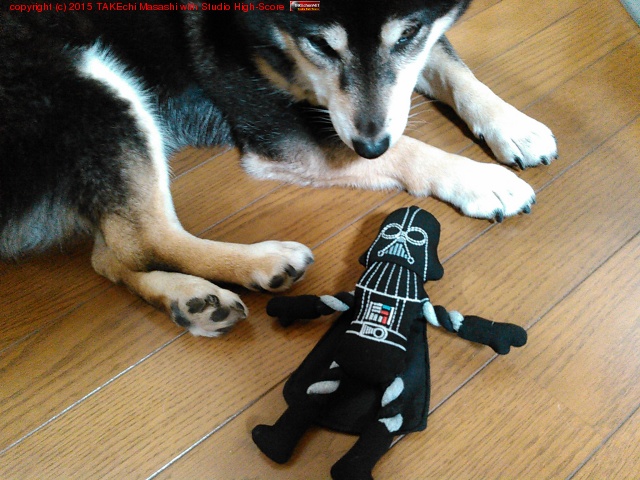 �������١�����