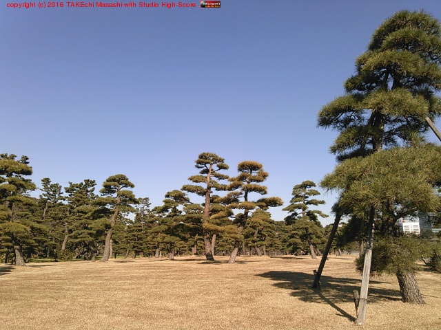 ŷ�����ɤ��Ƶ����������� (@ �ĵﳰ�� in Chiyoda, �����)