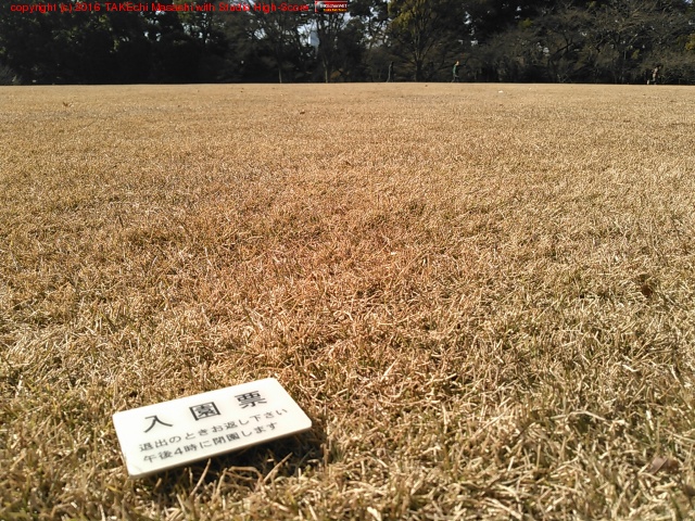 �������Ф��äѤ��������ɤ� (@ �ĵ� ���� (Imperial Palace East Garden) in �����Ķ�, �����)