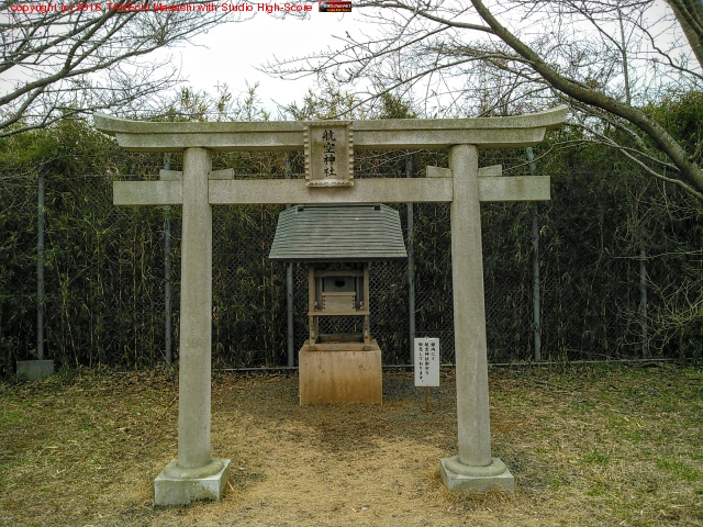 �Ҷ�����