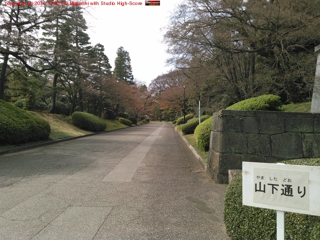 �����̤�