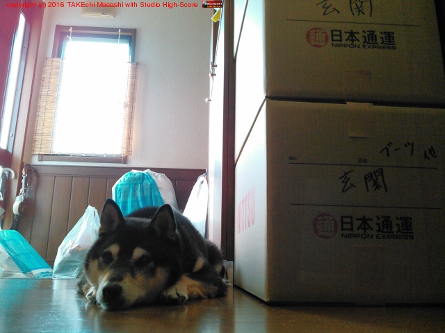 �ͥå�(���á��ƥ��) ���!!