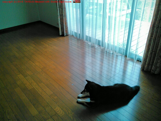 �½д�λ!! ��ݤΤ���������ã�λŻ��äפ�ϵ�����������