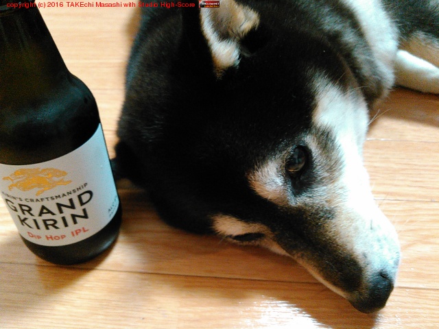 �ҤȤޤ�����!! �ޤ���ʪ���ʥ��Τǹ���(?)