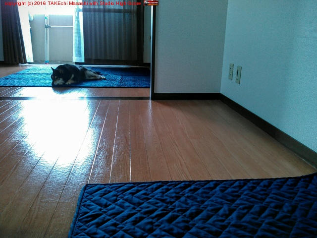 ��������!!