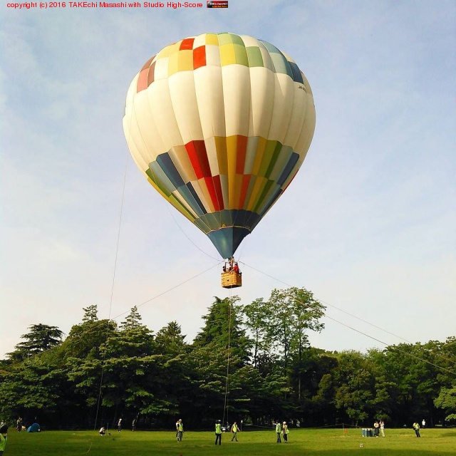 Ǯ�����θ����ġ����ս�λ? �ߤ����褫���¤�Ǥ���Τ��ʡ� #�Ҷ�����