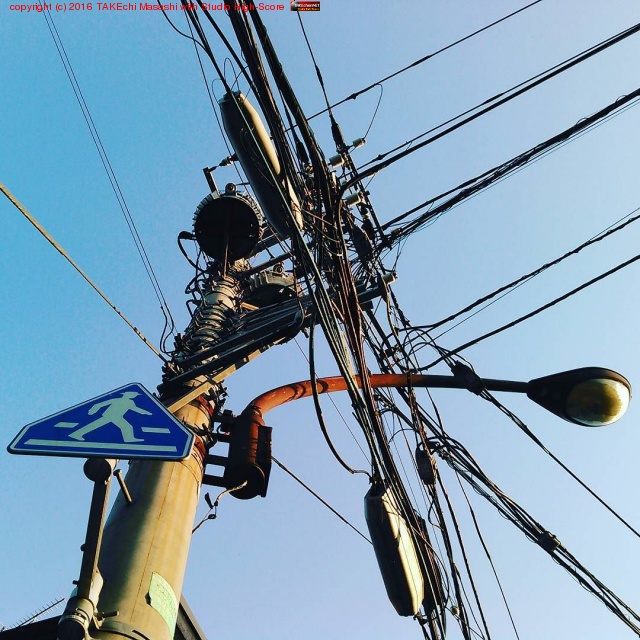 ī�λ���ˤ� #���� #�Ķ�