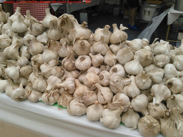 �ˤ�ˤ�!! #�񻺤ˤ�ˤ��ե���