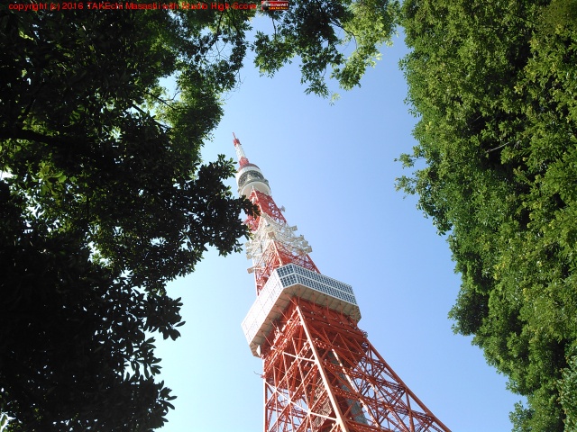 �ޤ��դ��Ф�ɤѤ嵐���ݤä�!! (@ ������ in ����, �����)