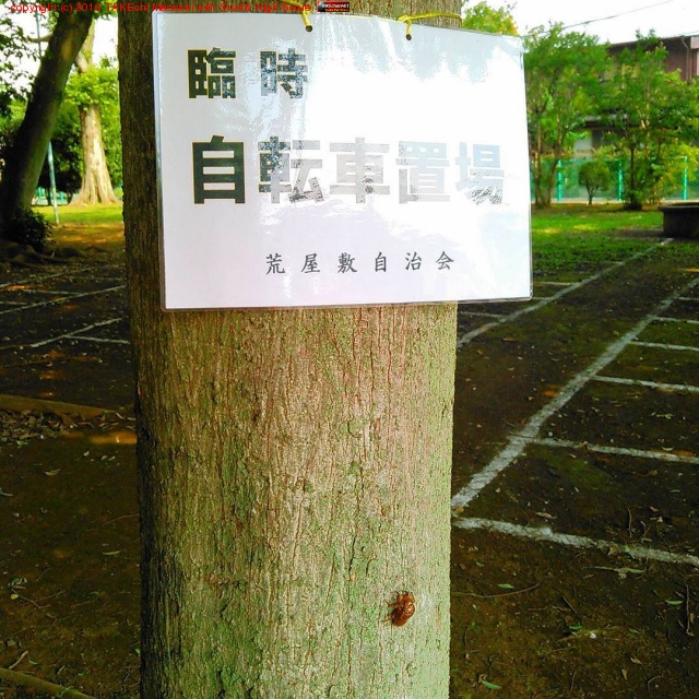 ����ˤ� #�׻���ž���־� #���ߤ�ȴ����