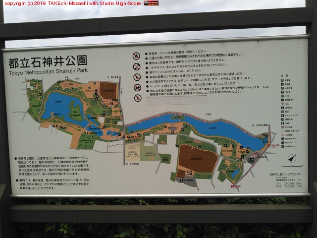 �п������