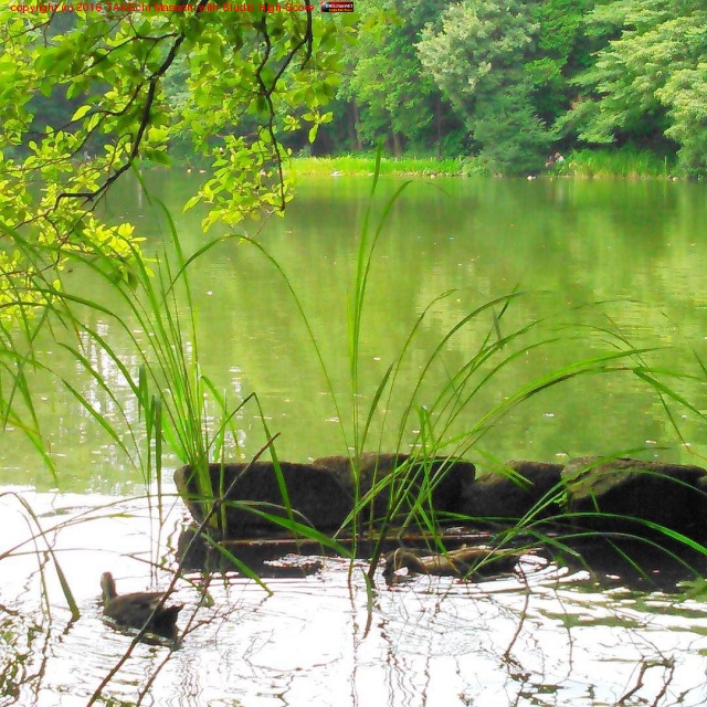 ���� #����