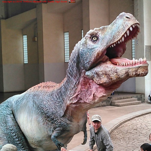 ��ε!! #̼�ȥǡ���