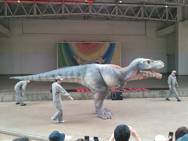 ��ε���硼