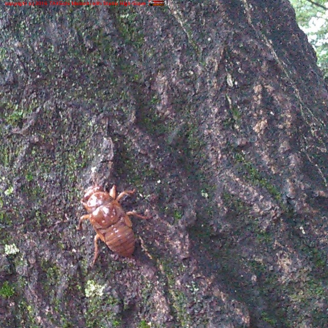 ���夬����ä������ࡣ����ФäƤ���!!