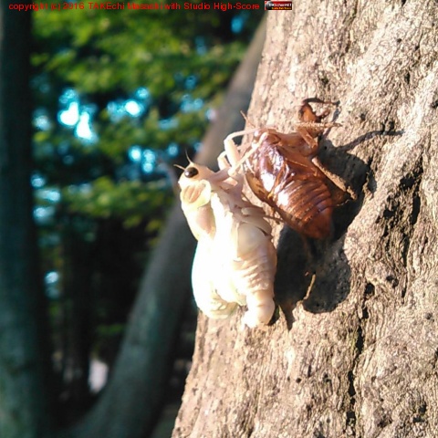 ����ˤơ�����Ф�!! #����