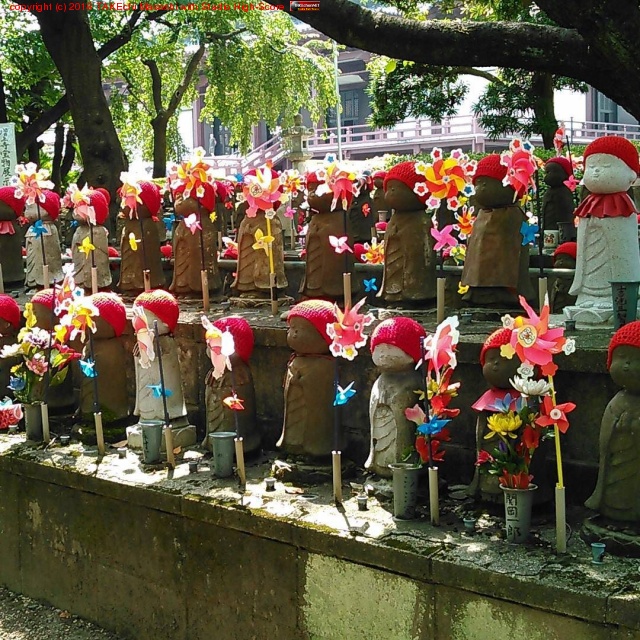 ����¢����