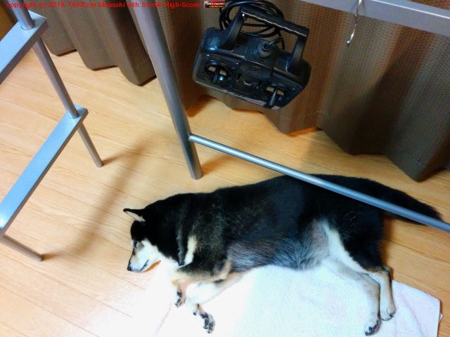 �����ϥ����ǿ���Τ���? #ǭ��ФȤ��ư�ä���