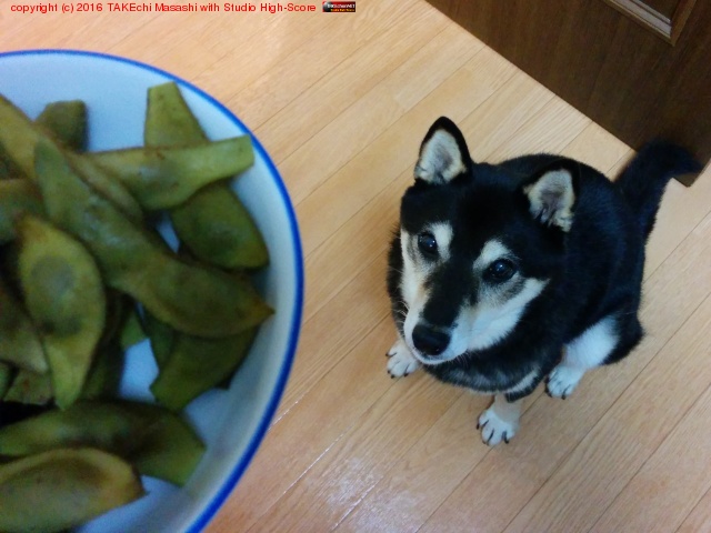 �����Ρ֤��ι���Ʀ�櫓�Ƥ���!�׸�