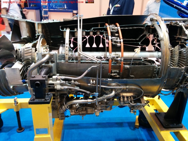 ��ݹҶ�����Ÿ