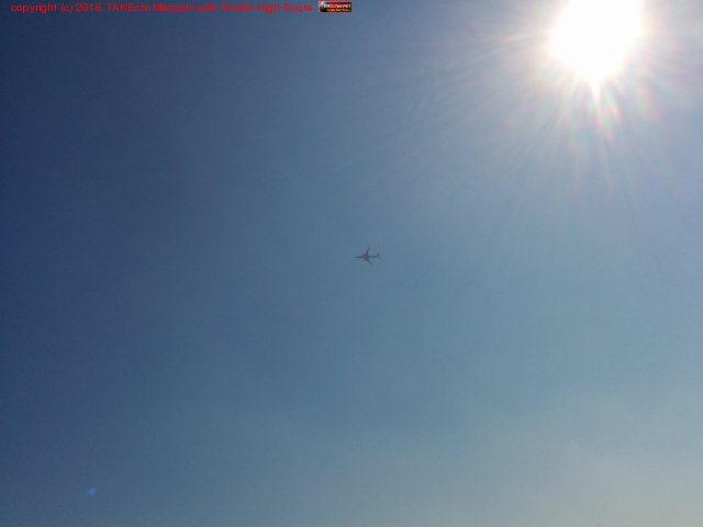 �Ķ�!! #��ݹҶ�����Ÿ