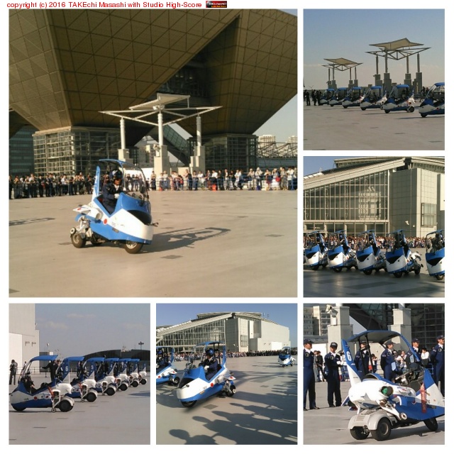 �֥롼����ѥ륹 Jr. #��ݹҶ�����Ÿ