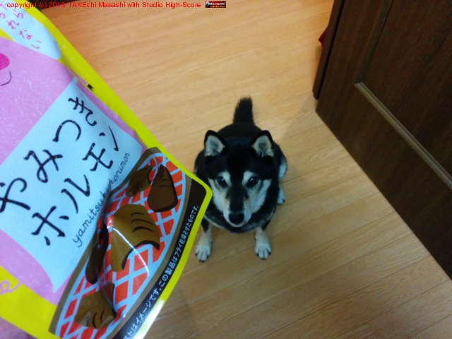 �����Υĥޥ߰��˿��٤ޤ���! �� (�ճ��俿����)