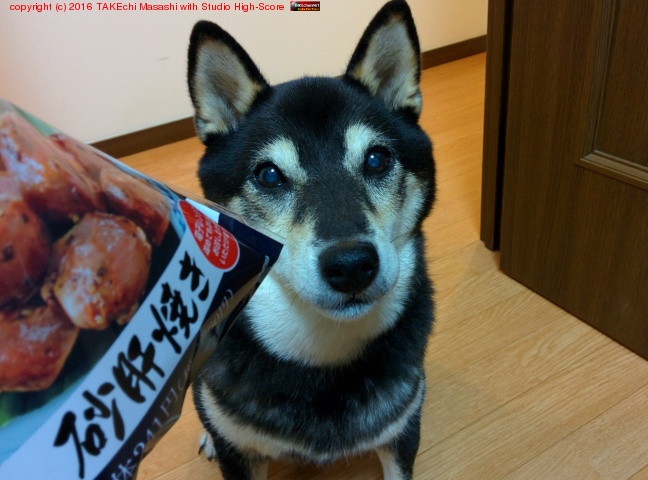 ���ο��٤ޤ���!! (�Ƕ���ܤ��餵�ʤ�?)