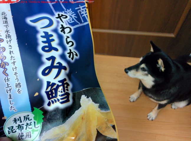 �����Τ��ĤޤߤϡȤ��餫 �Ĥޤ�í�� #�������ռ�