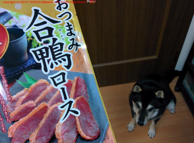 �����Ϥ��Ĥޤ߹�����������ޤ���