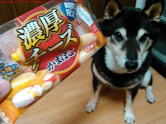 ǻ�����������ޤܤ������٤ޤ���!!