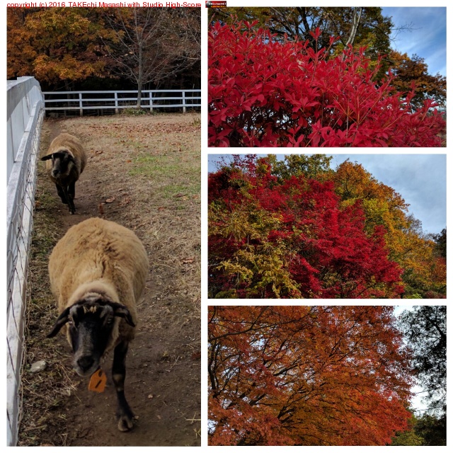 ���ռ���