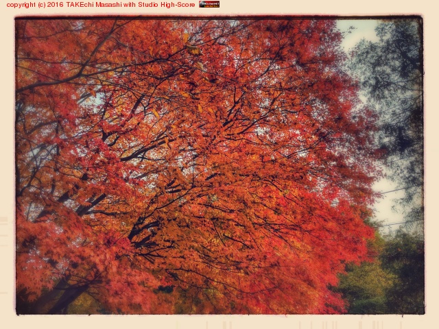 ���ռ���