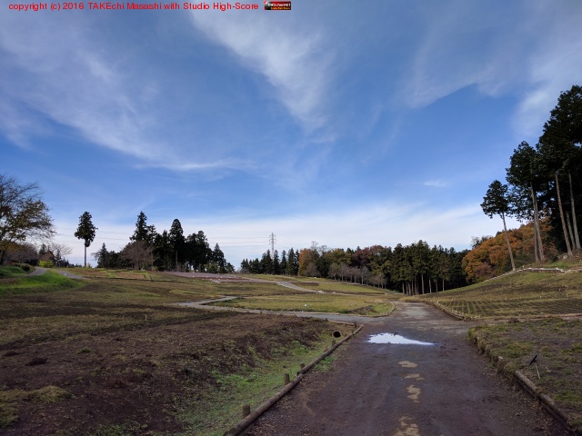 ���������Ƶ���������